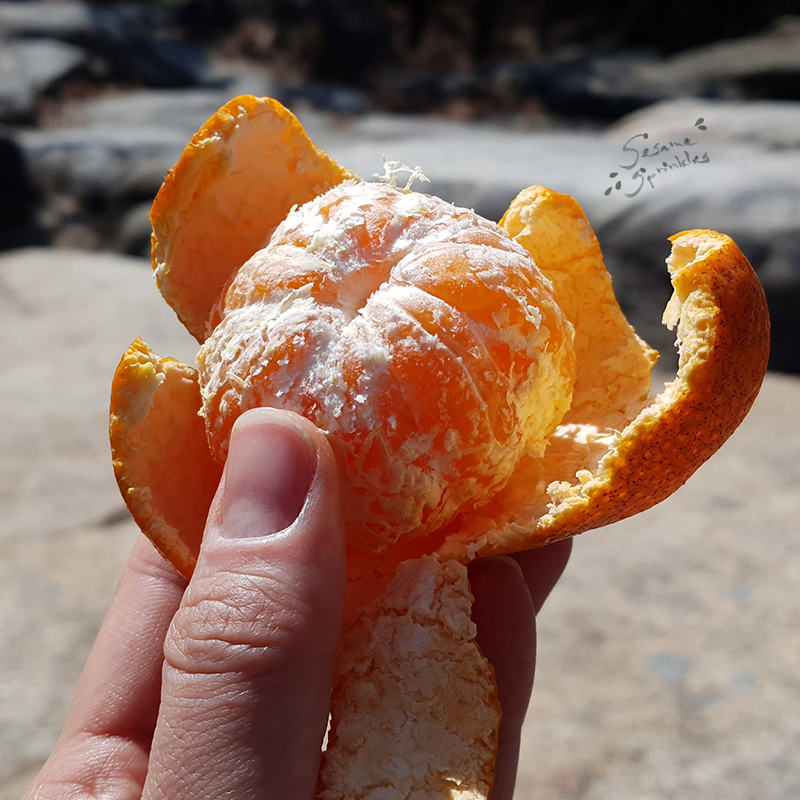 Peeled tangerine enjoyed during a hike.